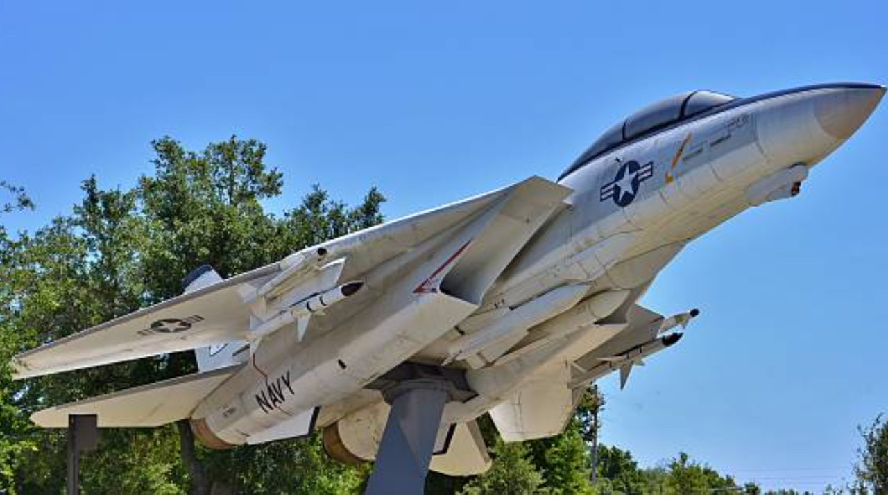 6 ग्रुमैन एफ-14 टॉमकैट Grumman F-14 Tomcat 