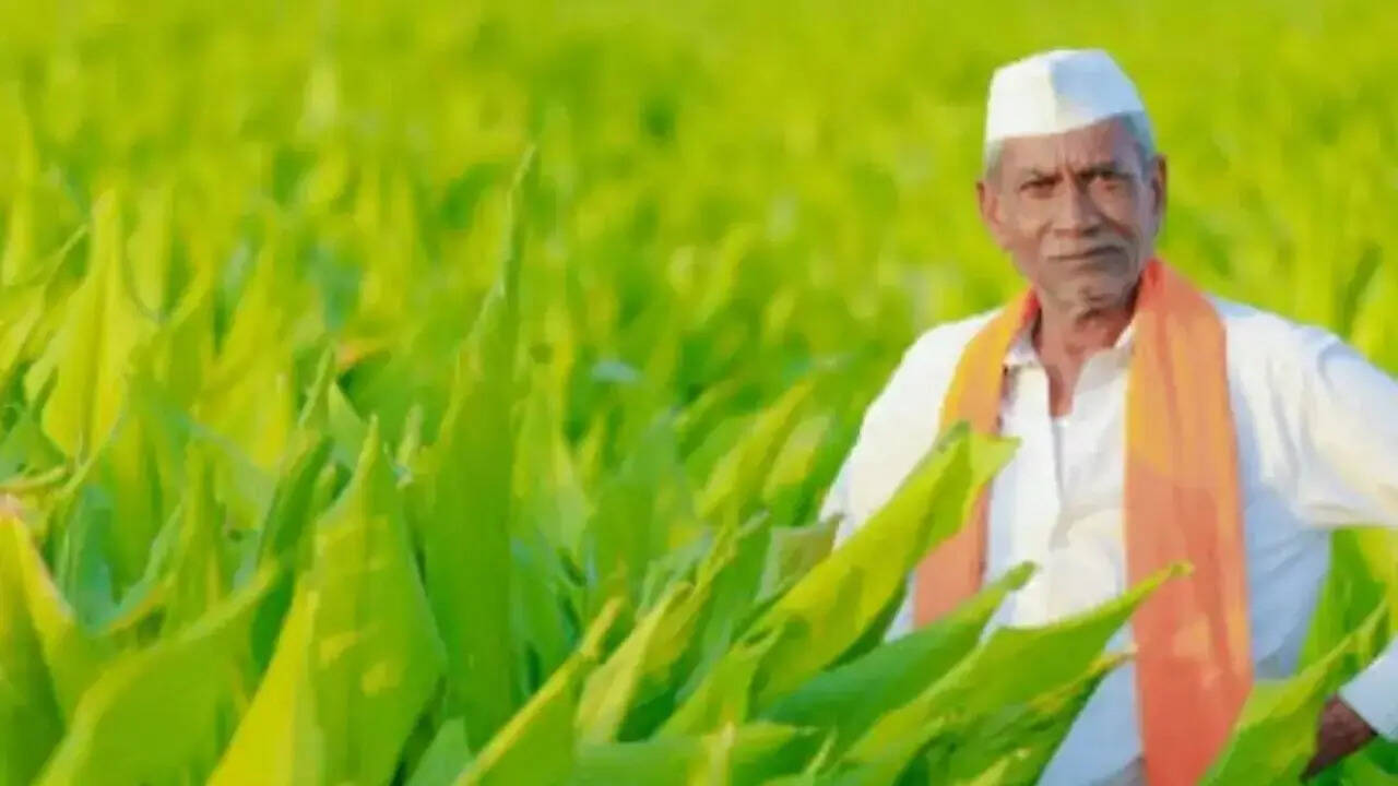 कब आएगी पीएम किसान की 22वीं किस्त