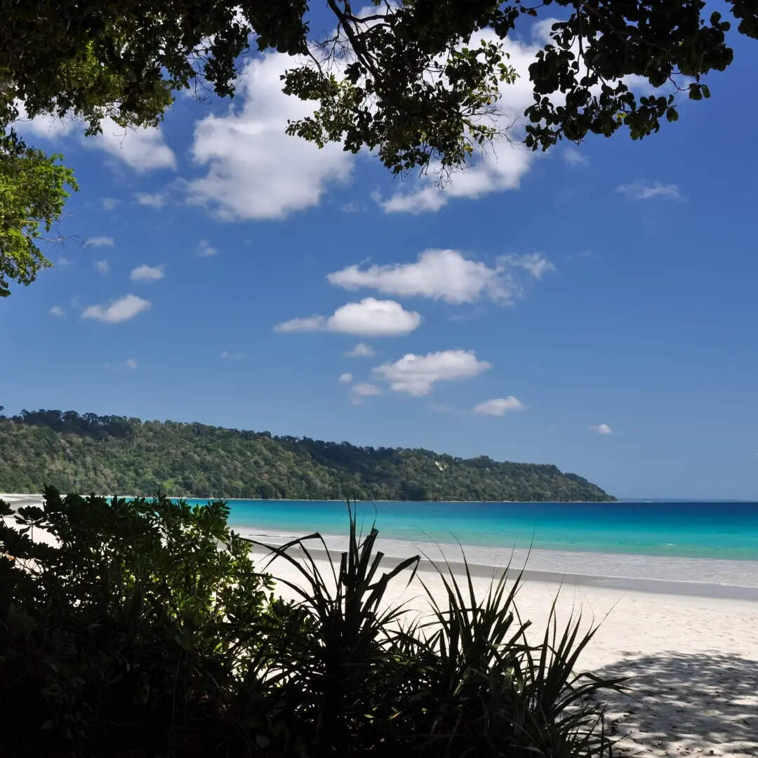 नो-एंट्री जोन