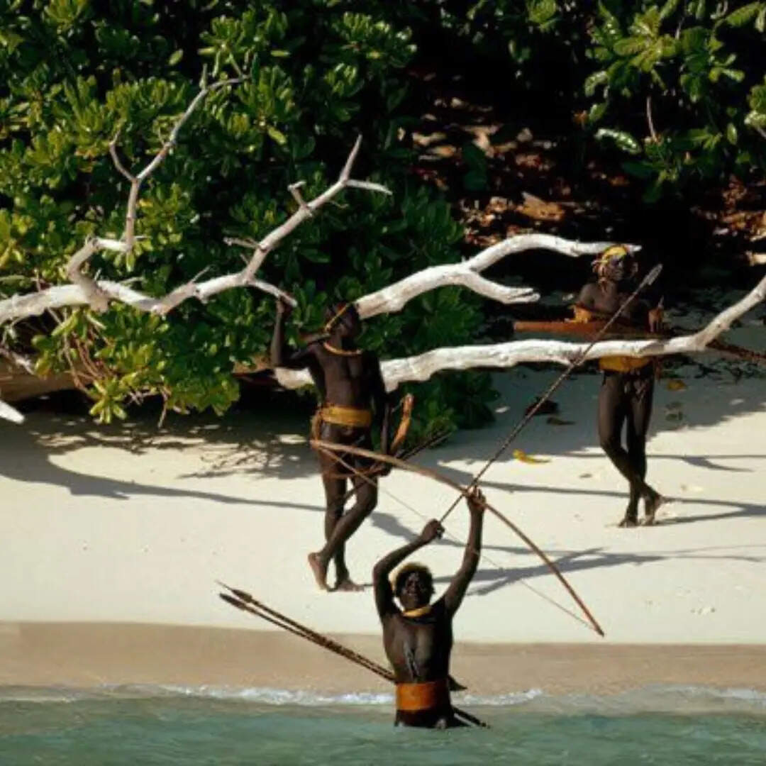 सेंटिनलीज जनजाति