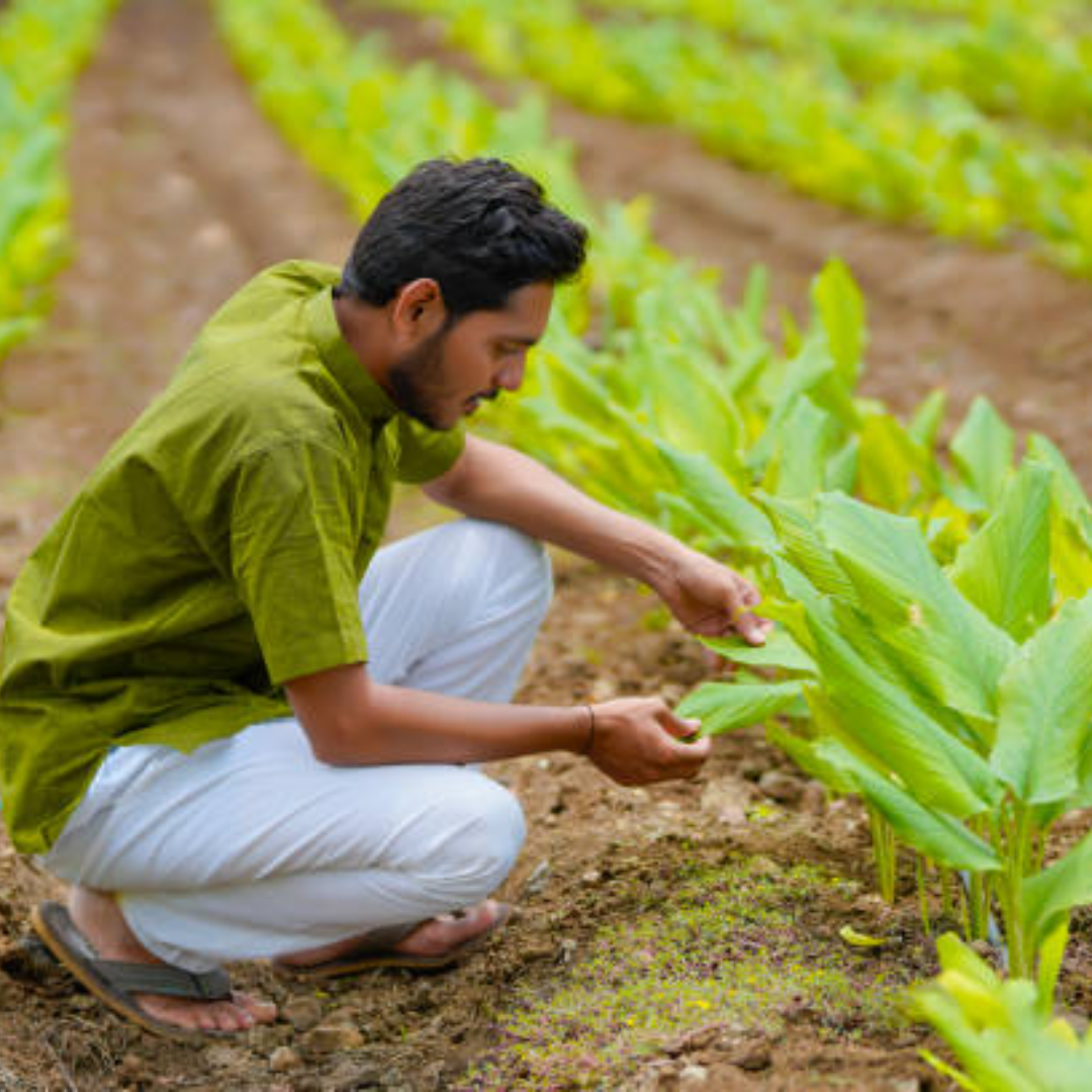 डिस्क्लेमर