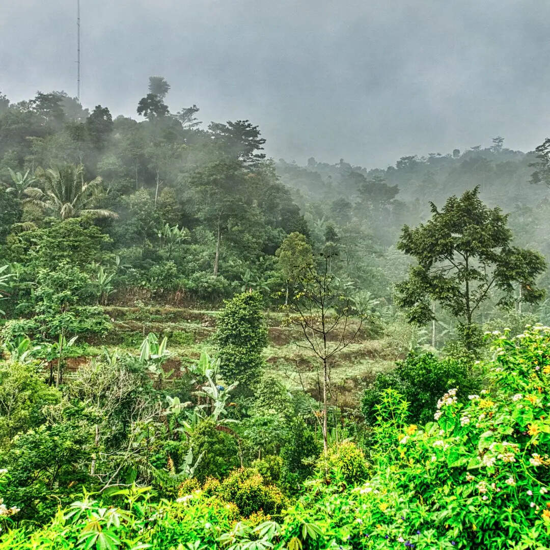 क्षेत्रफल भारत देश से ज्यादा