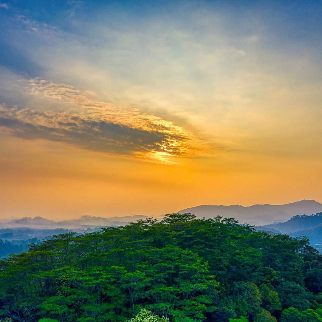 लगभग 55 लाख वर्ग किलोमीटर क्षेत्रफल