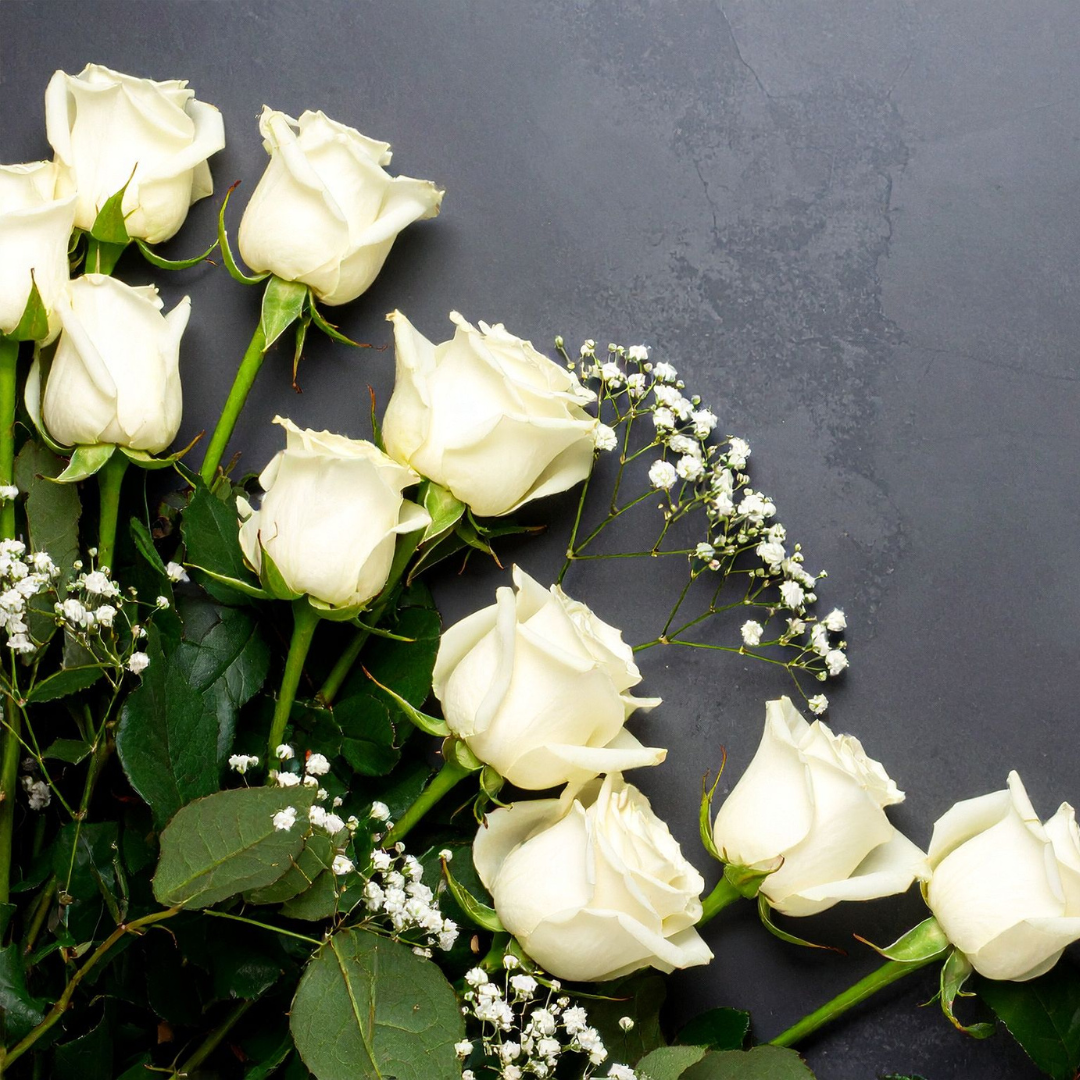 सफेद गुलाब