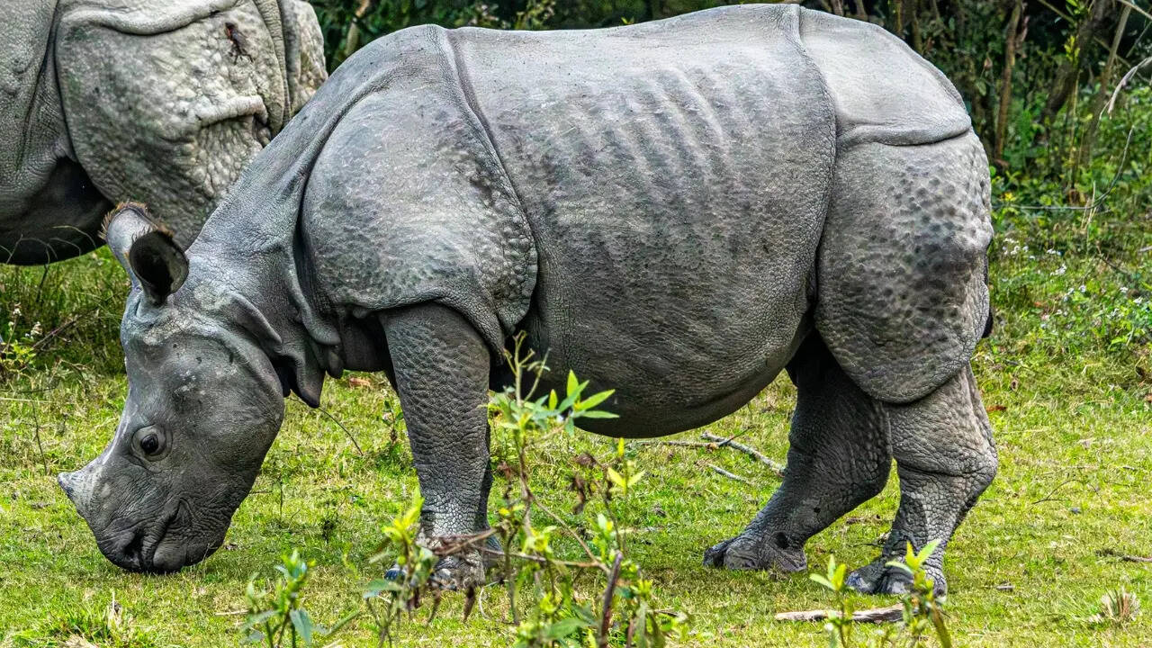 भविष्य के संरक्षण के लिए बड़ा सबक