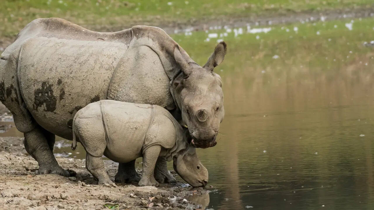 Climate Change और Little Ice Age का असर