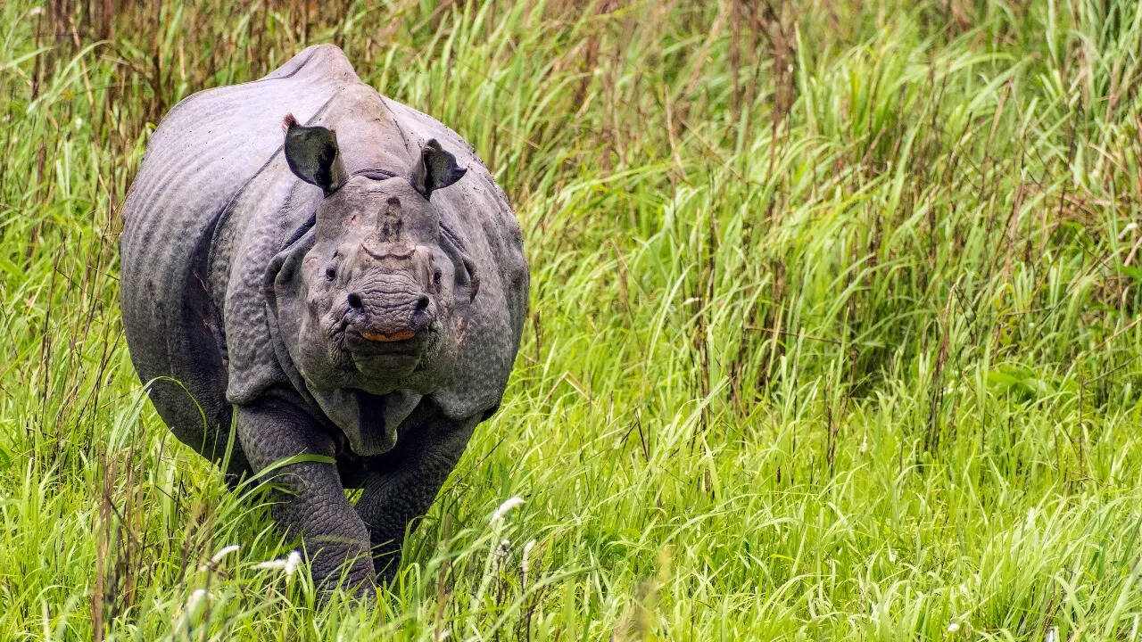 मिट्टी के नीचे छिपा कुदरत का आर्काइव