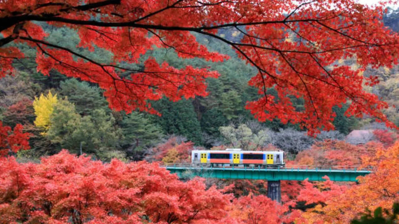 strongट्रेन का टाइमटेबल भी उसके हिसाब सेstrong