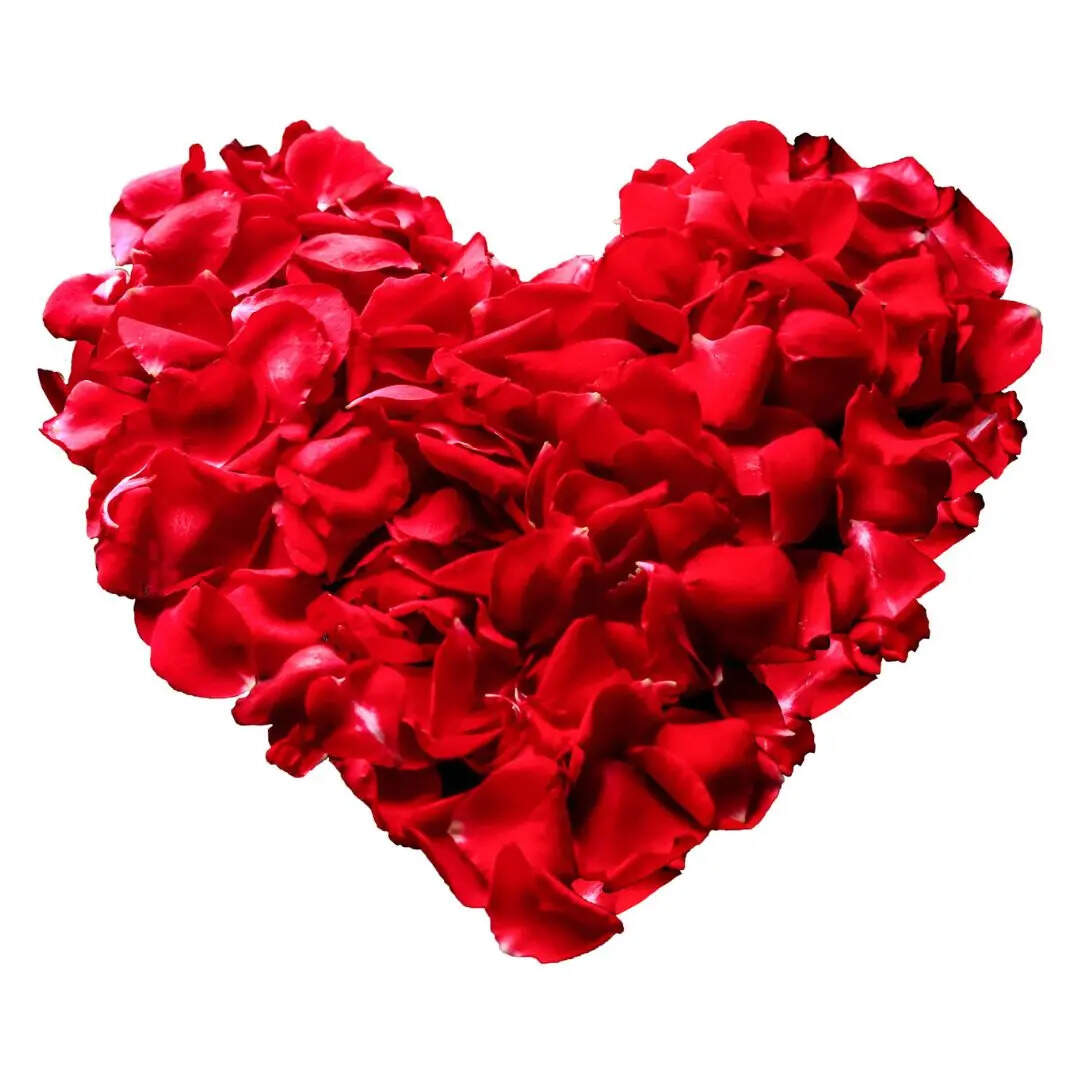 हैप्पी प्रपोज डे जानेमन