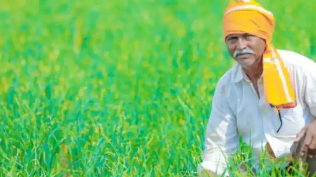 कब आएगी पीएम किसान की 22वीं किस्त