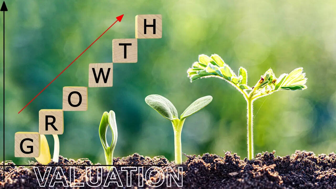 ​वैल्यूएशन नहीं, ग्रोथ देखें