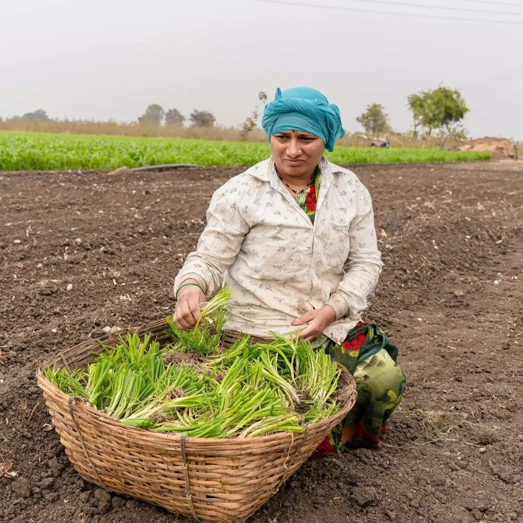 बिहार के किसानों के लिए 9,000 रुपये