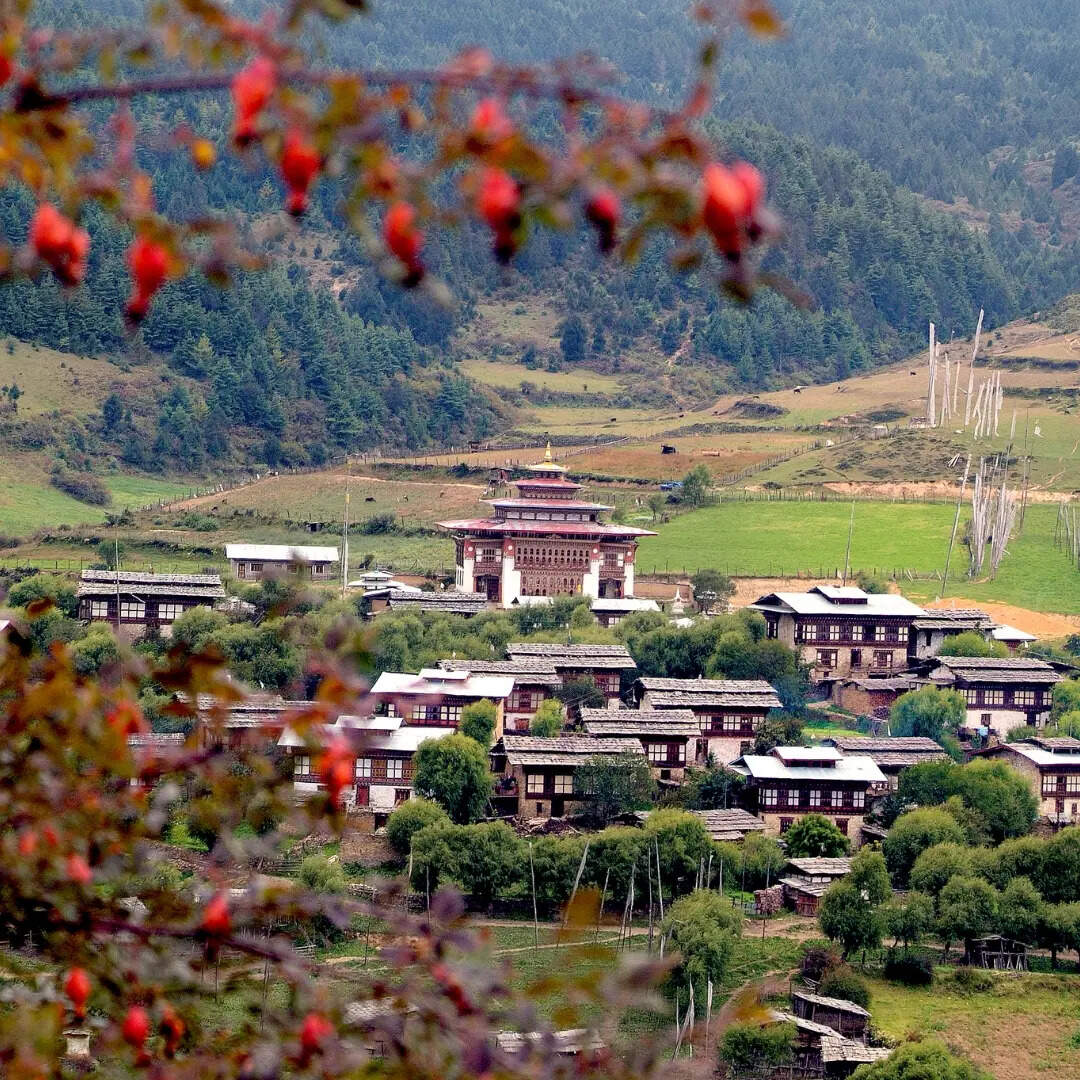 ​बुकिंग से रिलेटेड जानकारी​