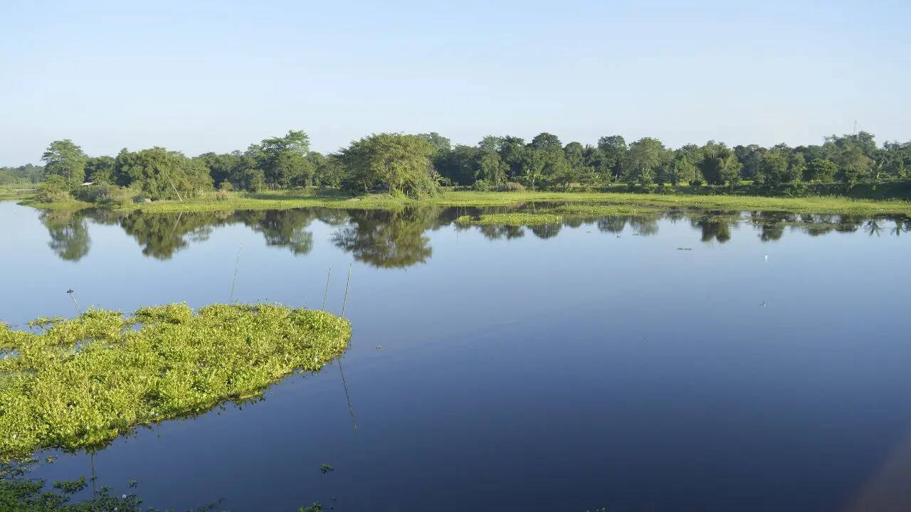 माजुली का महत्वपूर्ण स्थान