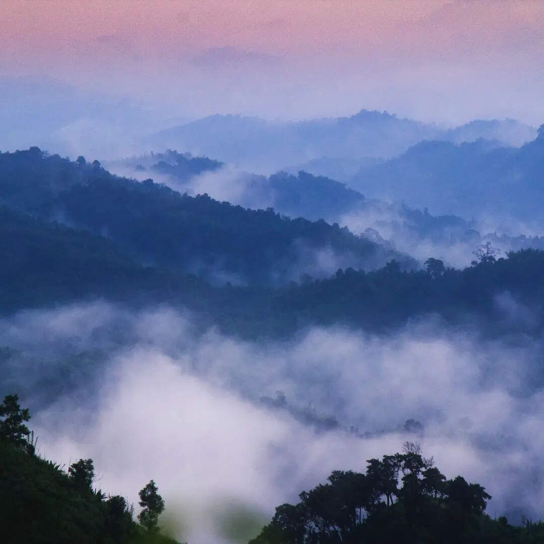 मिजोरम क्यों है प्रसिद्ध