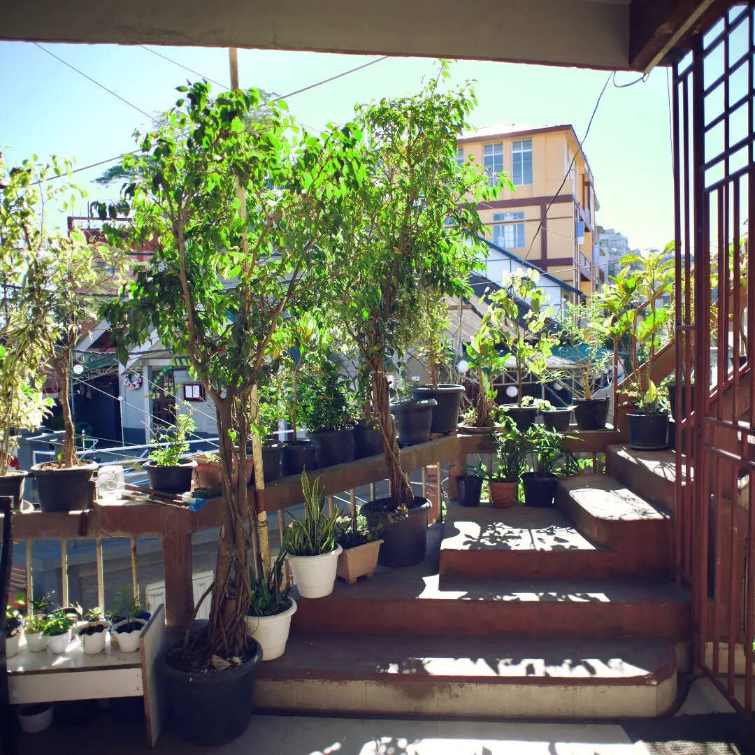 मिजोरम के पड़ोसी देशों के नाम