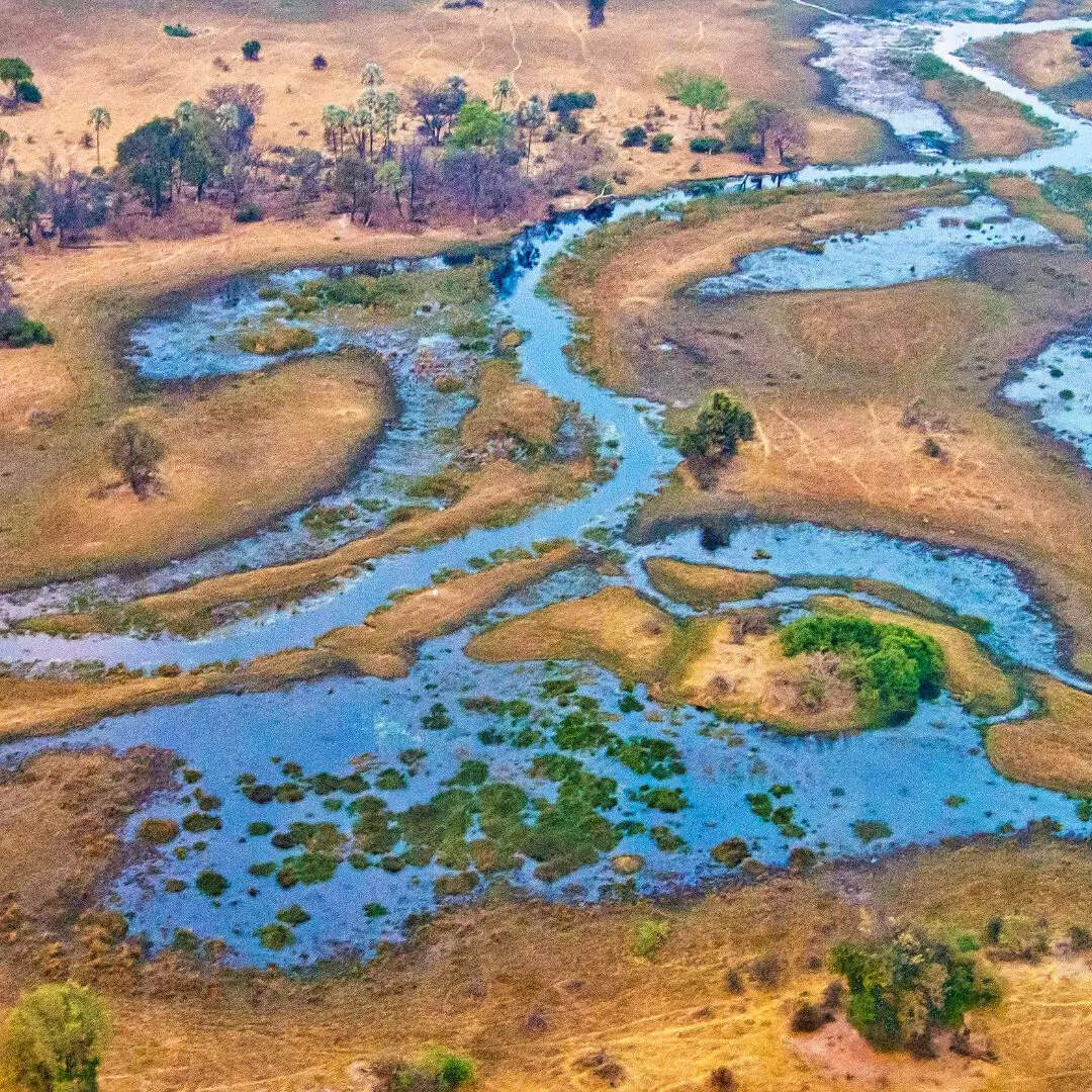 किन तीन नदियों से बना है सुंदरबन