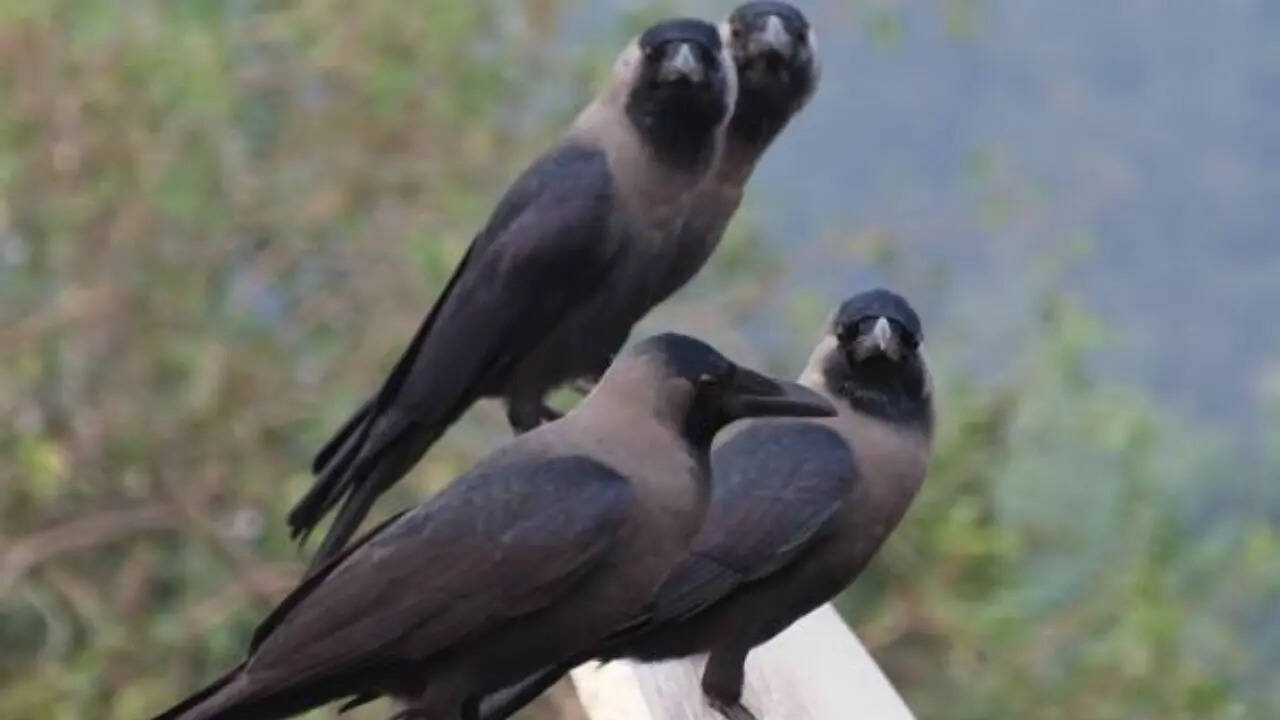 हम बताते हैं आपको