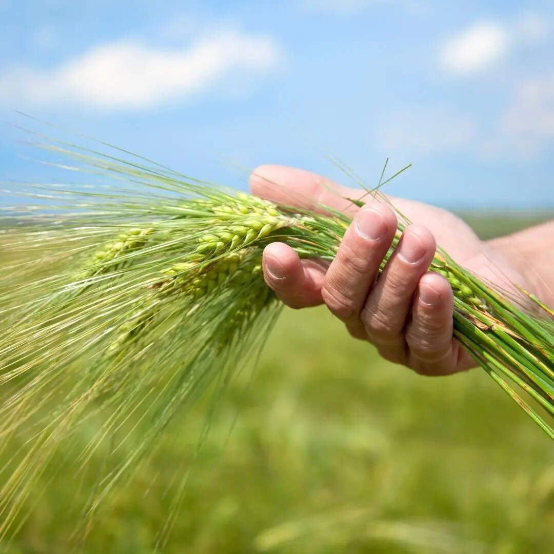 कब आएगी 22वीं किस्त