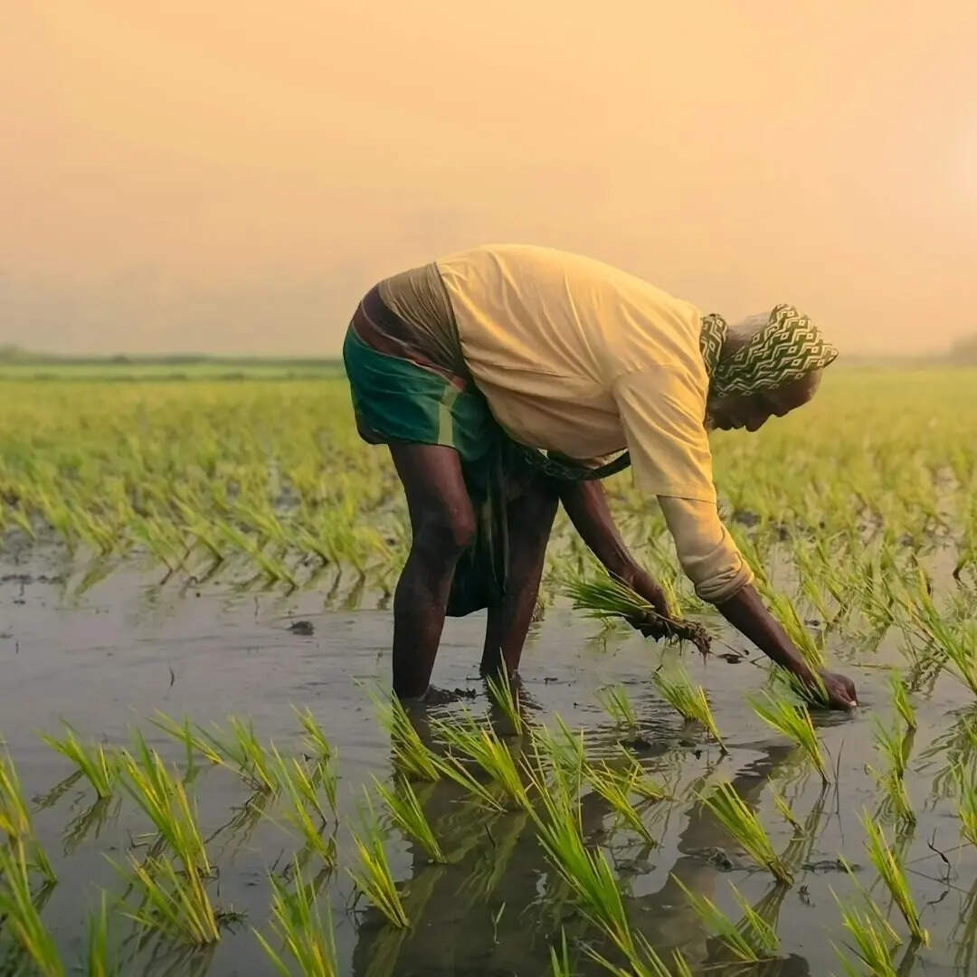 ऑफलाइन कैसे बनेगी फार्मर आईडी