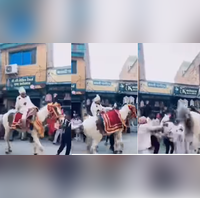 Viral Video दूल्हे के बैठते ही बिदक गई घोड़ी फिर लड़के का जो हुआ हाल देखकर उछल जाएंगे आप