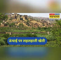 Ajab Gajab इस गांव में बहुत कम होती है बारिश फिर भी हमेशा लहलहाते रहते हैं खेत जानें क्यों