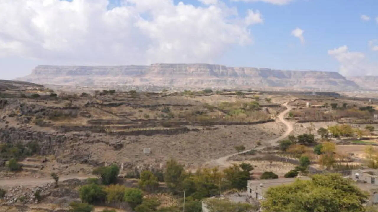 ​सीमित संसाधनों में भी किया कमाल​