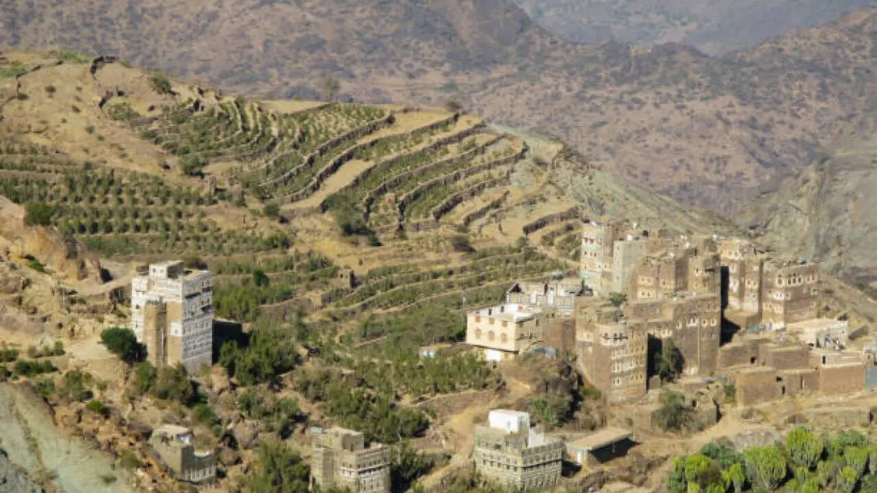 ​ उच्च गुणवत्ता वाली यमनी कॉफी के लिए फेमस​