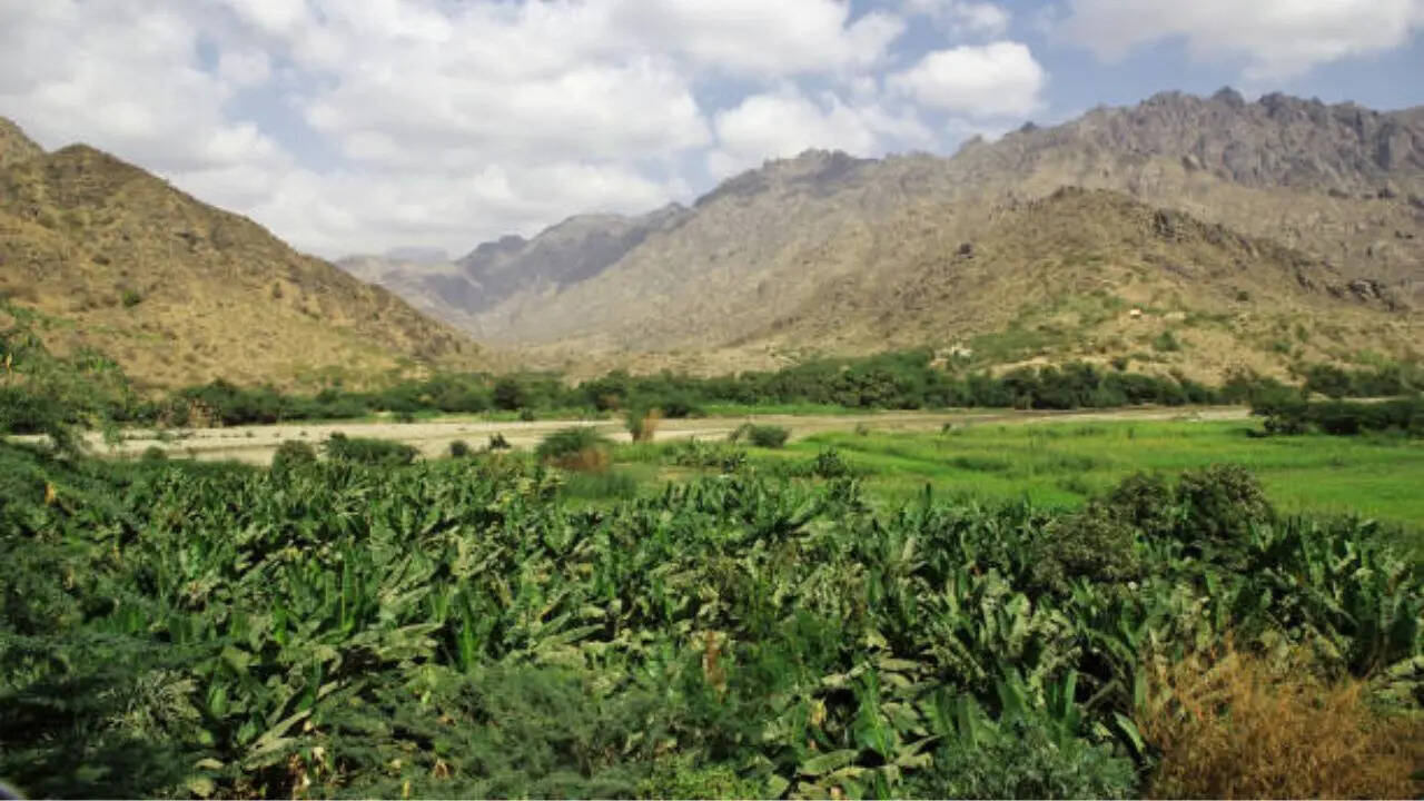 किसानों को इससे भी मिलती है मदद