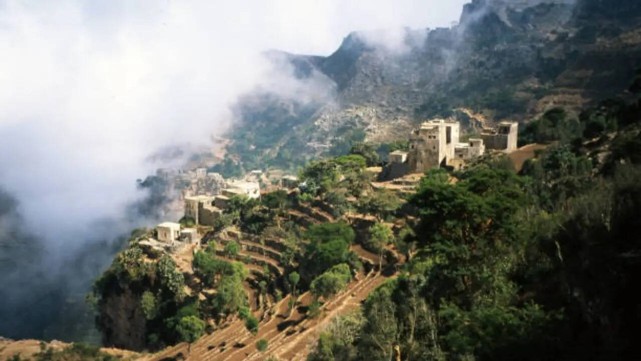 ​हां के खेत हरे-भरे कैसे हैं? ​