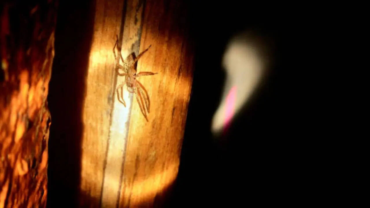 पतली स्किन जल्दी फट जाती है