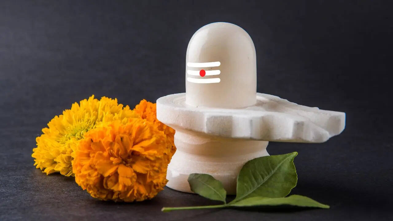 व्रत से एक दिन पहले सात्विक भोजन करें
