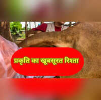 Ajab Gajab 22 महीने तक बच्चे को पेट में रखती है ये मां जन्म के बाद वजन जानकर रह जाएंगे दंग