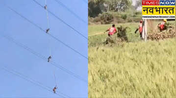 हाईटेंशन तारों पर चढ़कर काम करते दिखे युवक Video देख आप भी उनकी हिम्मत को ठोकेंगे सलाम