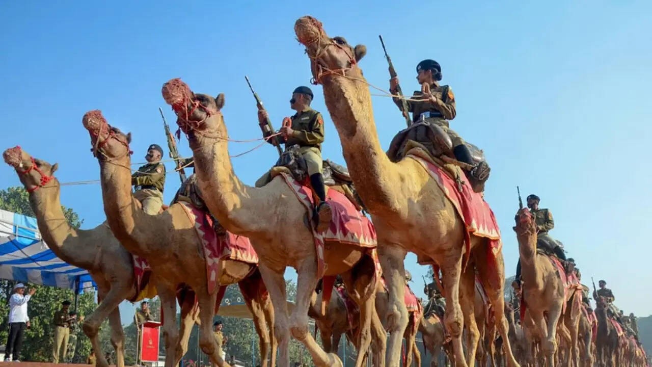 सेना में कुत्तों, डॉल्फिन, कबूतरों का इस्तेमाल