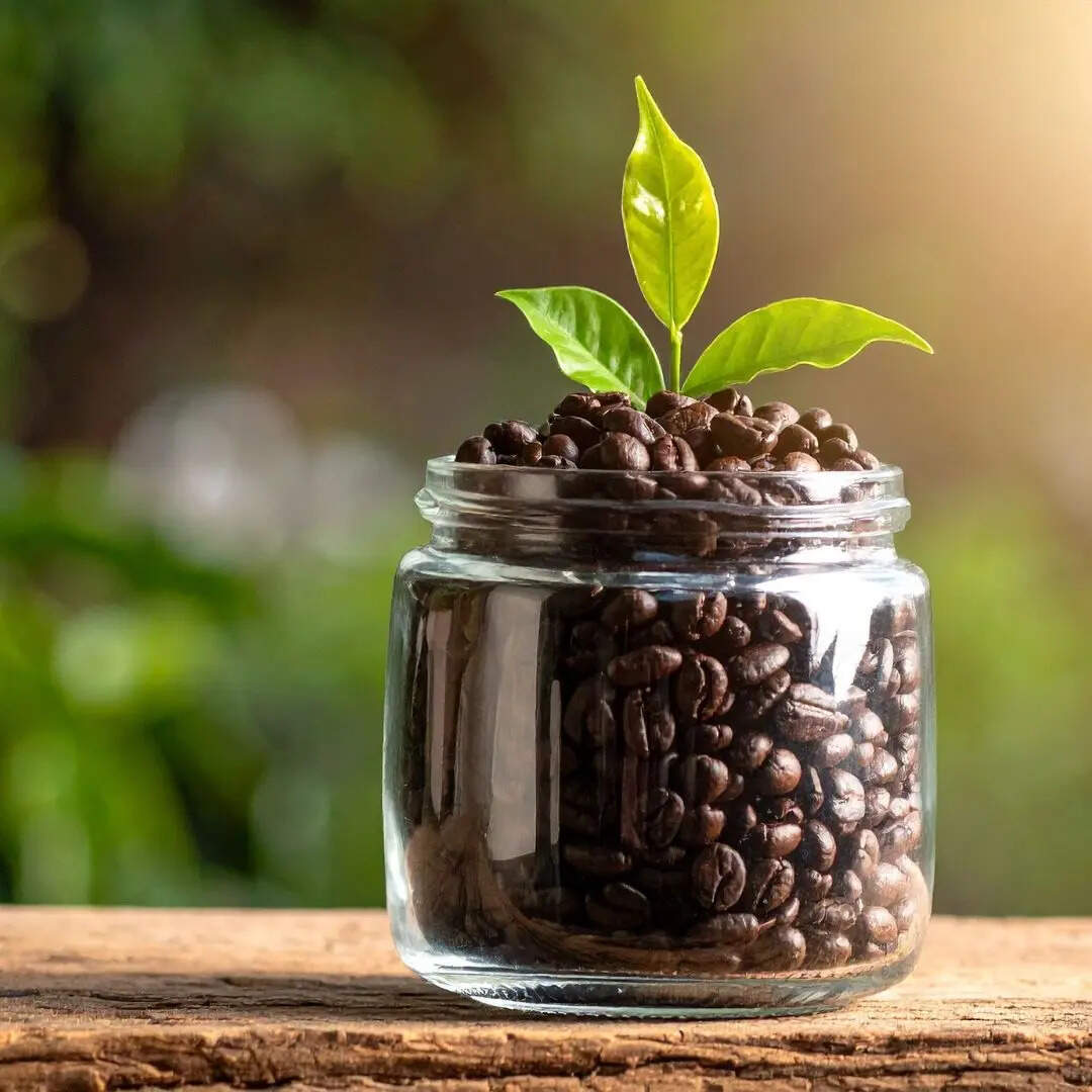 कॉफी का सबसे बड़ा उत्पाद​क राज्य