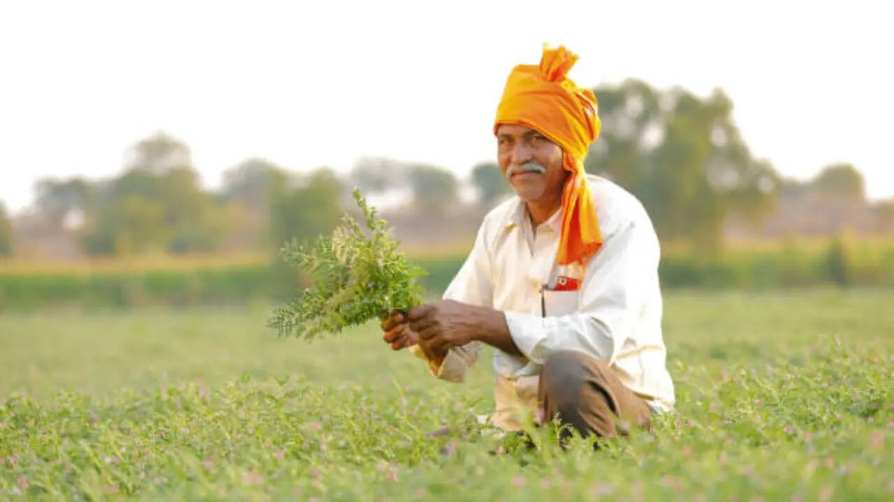 आपको बता दें कि फिलहाल अभी तक सरकार की तरफ से पीएम किसान सम्मान योजना की 22वीं इंस्टालमेंट को ट्रांसफर करने की डेट का खुलासा नहीं किया गया है। हालांकि कुछ रिपोर्ट्स में यह जरूर सामने आया सरकार 24 फरवरी 2026 के बाद कभी भी अगली इंस्टालमेंट ट्रांसफर की जा सकती है।