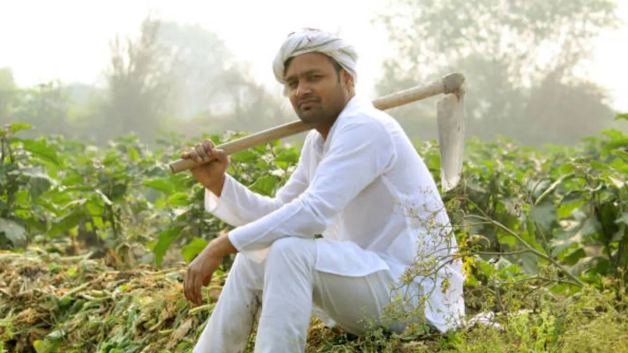 पीएम किसान योजना का लाभ लेने के लिए आपके पास फॉर्मर आईडी होना जरूरी है। अगर आपके पास फॉर्मर आईडी नहीं है तो आप अगली किस्त के 2 हजार रुपये के लाभ से वंचित रह सकते हैं। अगर आपने अभी तक फॉर्मर आईडी नहीं बनवाई है तो तुरंत बनवालें।