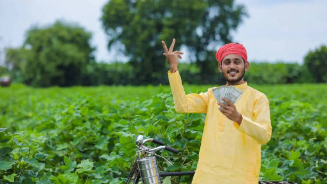 पीएम किसान योजना का लाभ लेने के लिए ई-केवाईसी होना जरूरी है अगर ये प्रॉसेस अधूरा रह जाता है तो आप अगली किस्त पाने से वंचित रह सकते हैं। इसलिए आपको ई-केवाईसी जरूर करानी चाहिए।