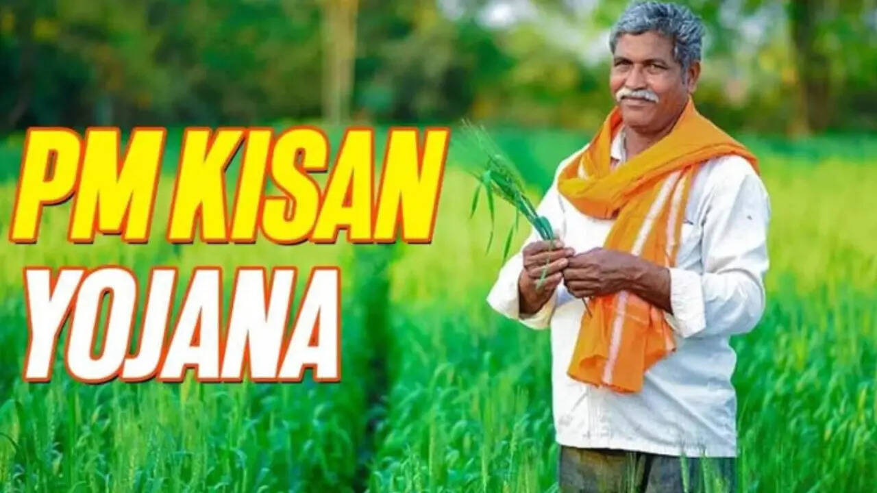 सरकार हर साल तीन किस्त के जरिए किसानों के खाते में पैसा ट्रांसफर करती है और जब किसानों को अगली किस्त का इंतजार है तो ऐसे में पिछले सालों की तारीखों के देखकर यह अंदाजा लगा सकते हैं कि 22वीं किस्त कब तक ट्रांसफर होगी।