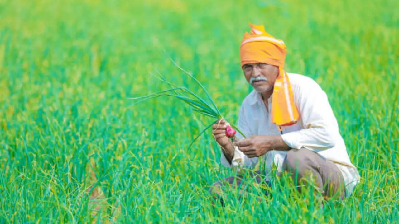 पीएम किसान स्म्मान निधि की लाभार्थियों की लिस्ट को चेक करने के लिए आपको ऑफिशियल PM-KISAN पोर्टल pmkisan.gov.in पर जाना होगा। इसके बाद आपको होमपेज पर “Beneficiary List” ऑप्शन पर क्लिक करके।