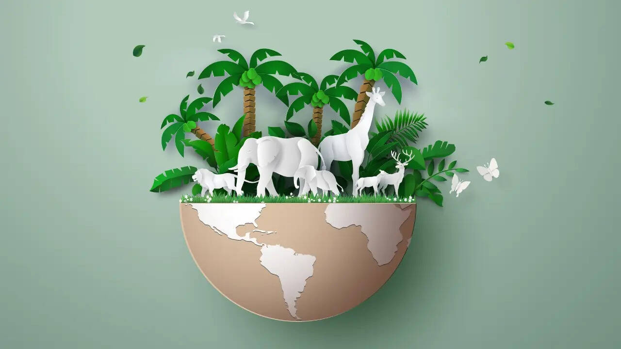 जंगलों की रखवाली और वन्यजीवों की सुरक्षा