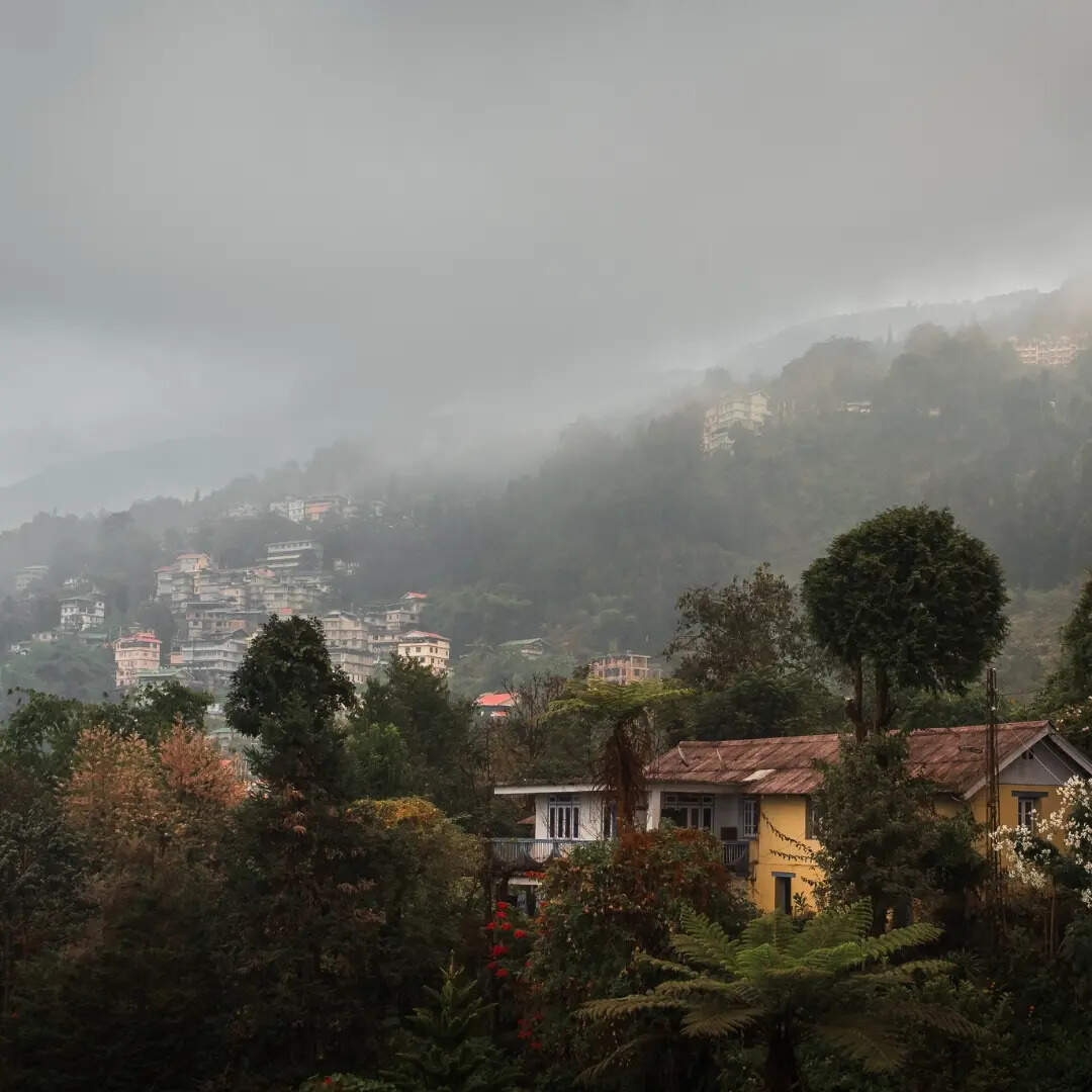 ​खाना और लोकल स्वाद​