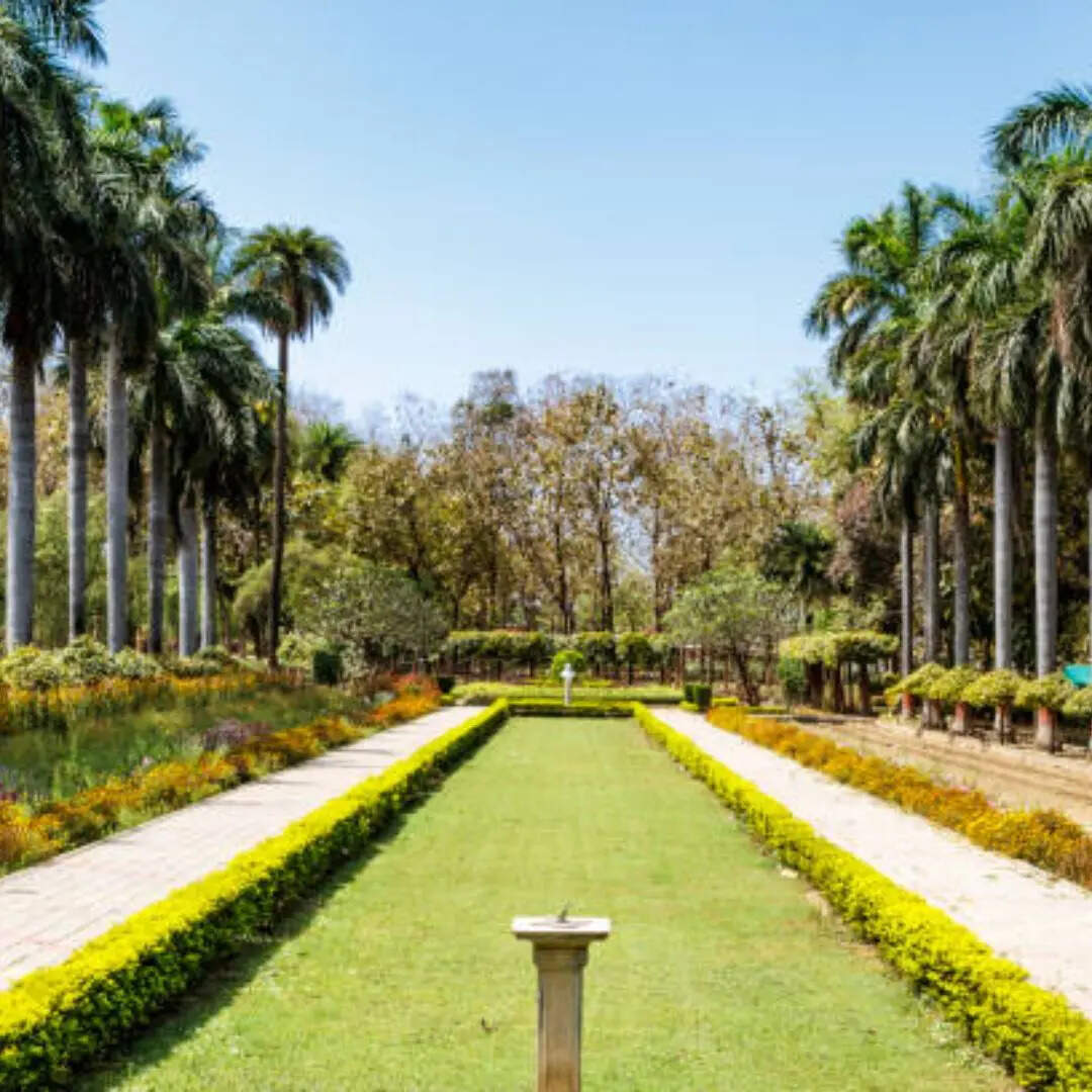 बाबासाहेब भीमराव अंबेडकर विश्वविद्यालय, BBAU