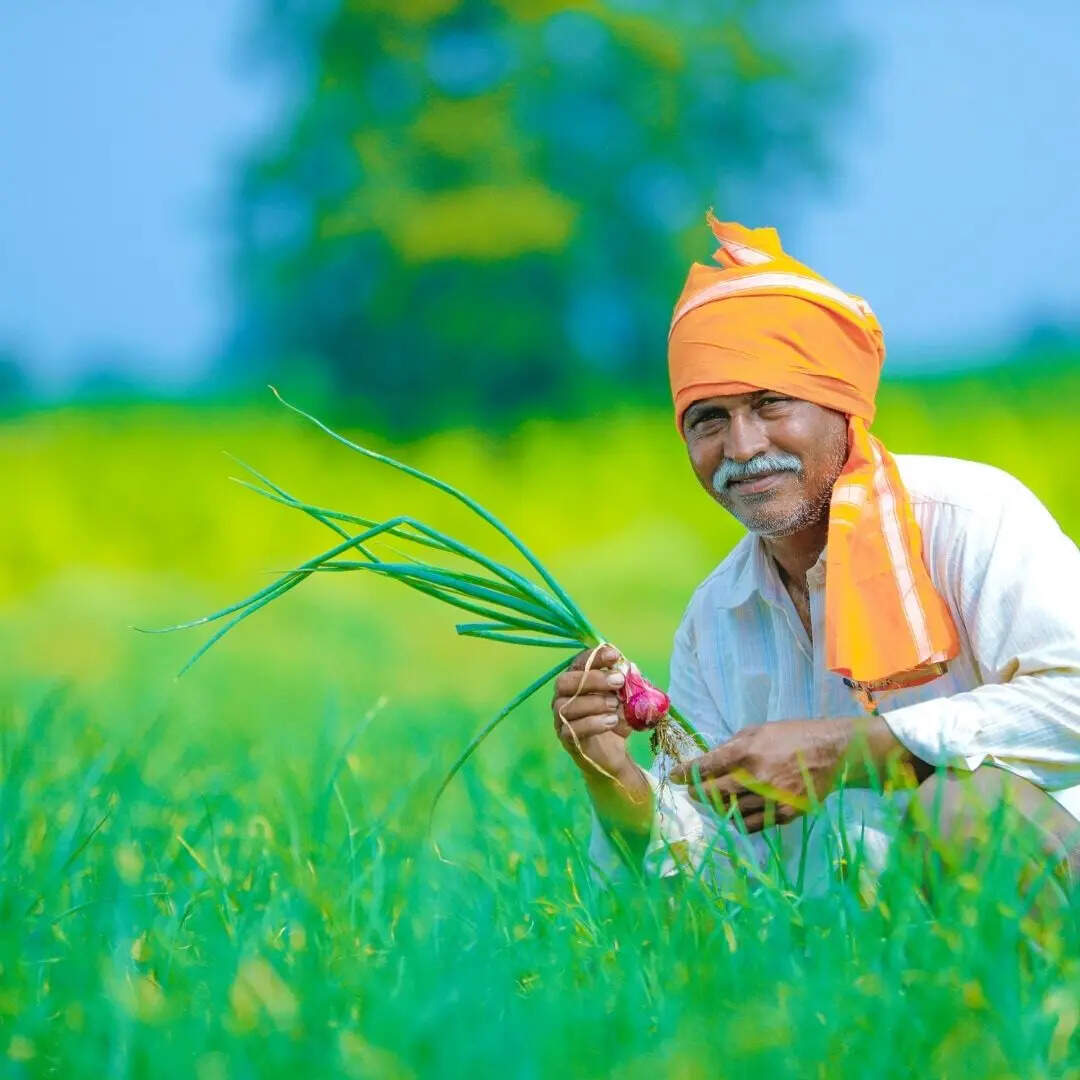 कब तक आ सकती है 22वीं किस्त?