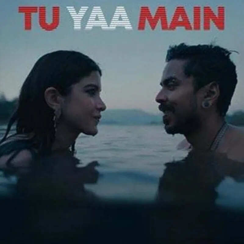 तू या मैं