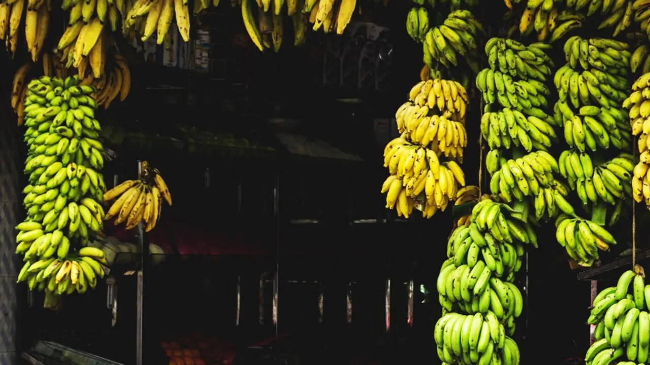 आर्थिक दृष्टि से महत्व
