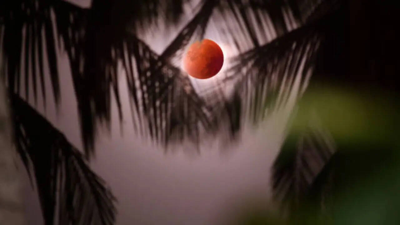 ग्रहण देखने के लिए क्या करें