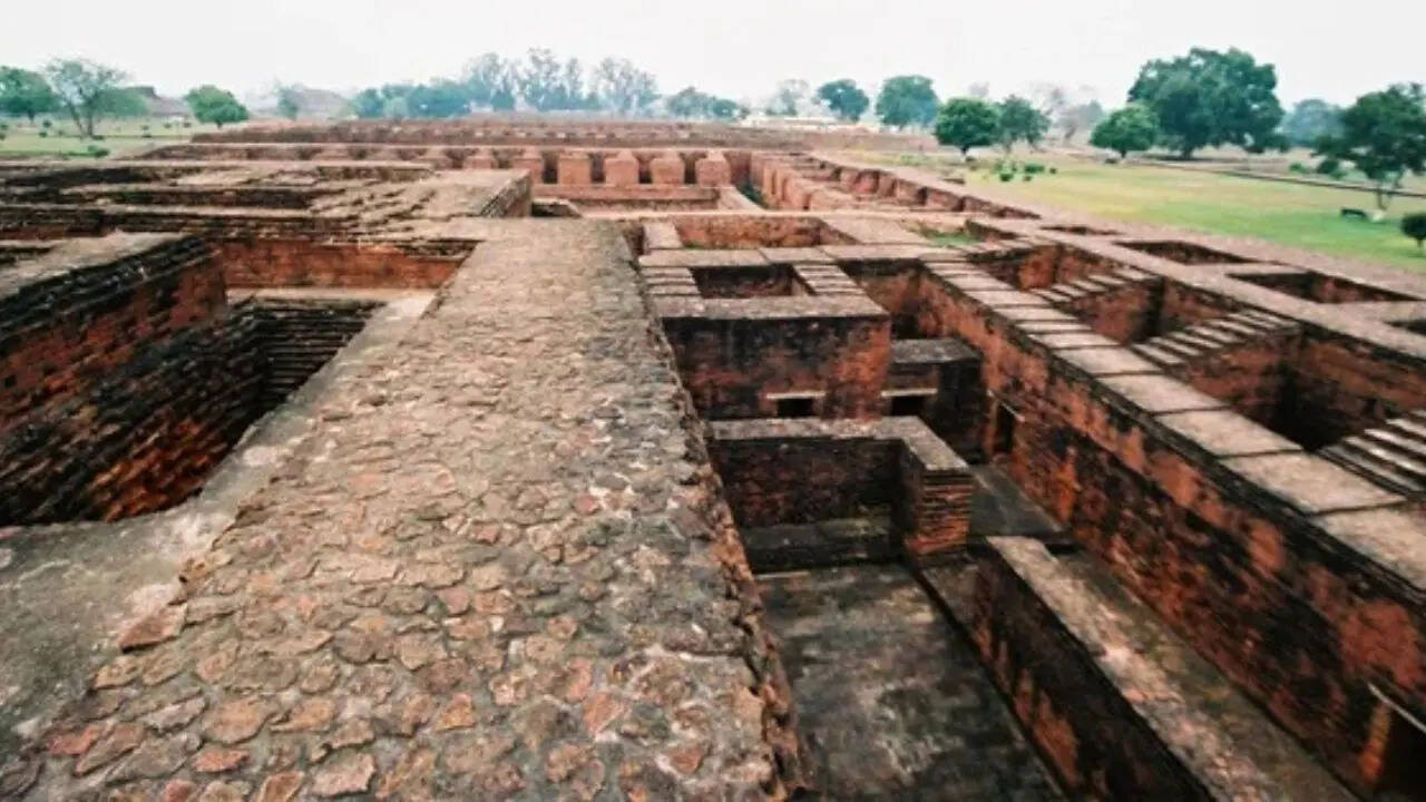 ओदंतपुरी यूनिवर्सिटी