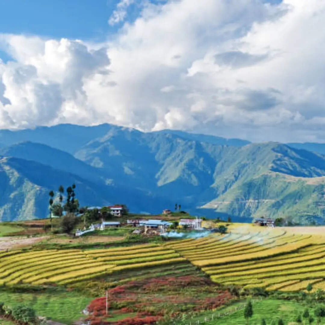 हजारों लोग दर्शन के लिए आते हैं